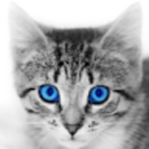 Meet your Posher, Oskar